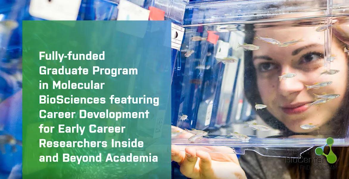 Wien - 30 Fully-funded PhD Positions in Molecular Biosciences