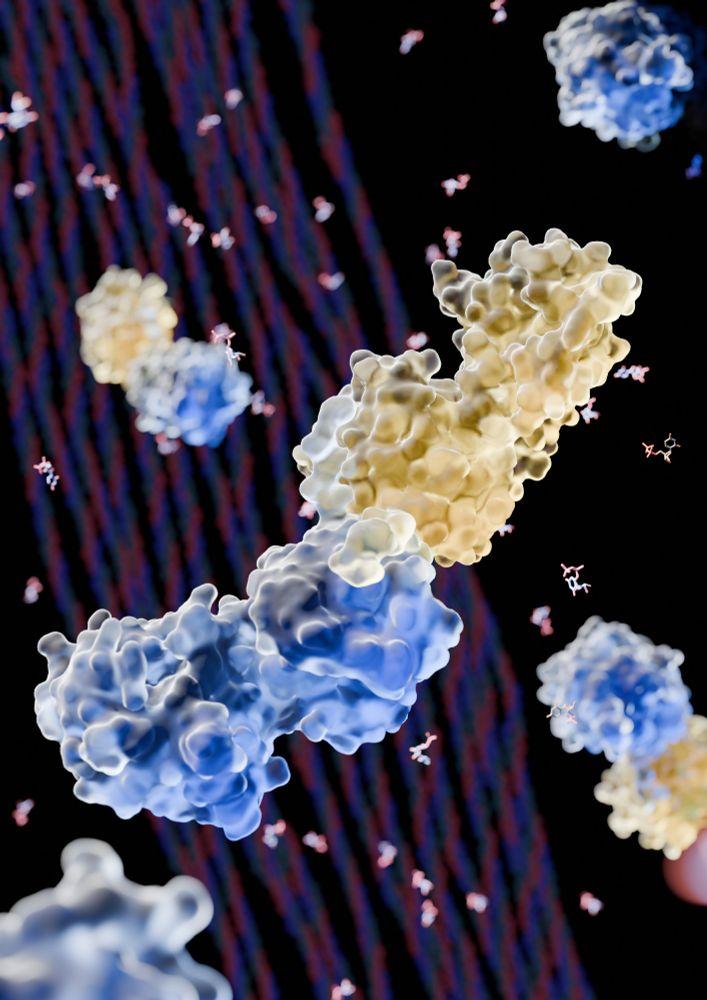 Armenise-Harvard Lab